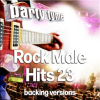 Rock_Male_Hits_23_-_Party_Tyme