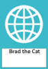 Brad the Cat